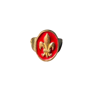 Bague fleur de lys en bronze émaillé – N113